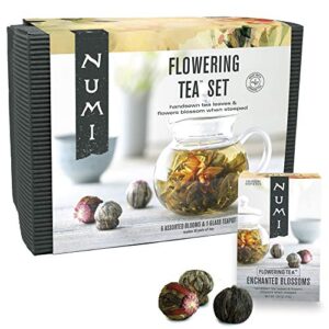 numi organic flowering tea gift set, 6 handsewn tea blossoms & 16-ounce glass teapot, blooming tea flowers