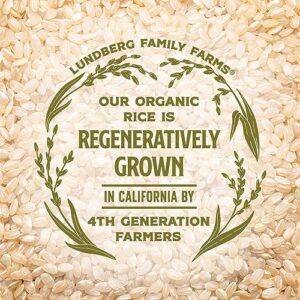 Lundberg Rice Cakes - Organic Whole Grain Brown Rice Cakes, Lightly Salted, Healthy Snacks for Adults and Kids, Gluten-Free Snacks, Organic Snacks, Vegan, 8.5 Oz (Pack of 6)