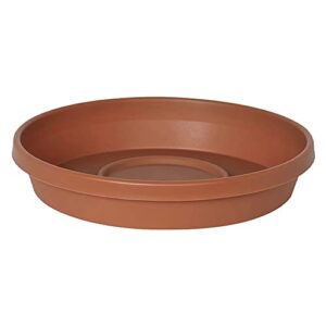 bloem terra pot round drain saucer: 16" - terra cotta - tray for planters 11-16", matte finish, durable resin, ribbed bottom, for indoor and outdoor use, gardening, planter not included