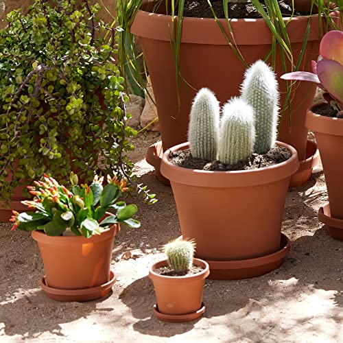 Bloem Terra Pot Round Drain Saucer: 16" - Terra Cotta - Tray for Planters 11-16", Matte Finish, Durable Resin, Ribbed Bottom, for Indoor and Outdoor Use, Gardening, Planter Not Included