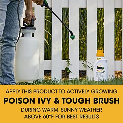 Roundup Concentrate Poison Ivy Killer Plus Tough Brush Killer for Weeds, Grass, Stumps with 24 hours Results, 32 oz.