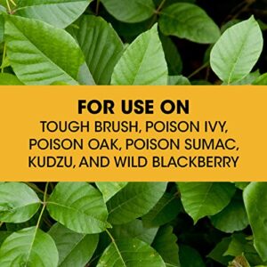 Roundup Concentrate Poison Ivy Killer Plus Tough Brush Killer for Weeds, Grass, Stumps with 24 hours Results, 32 oz.