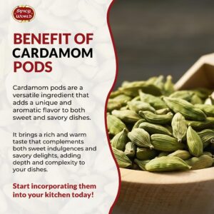 Spicy World Green Cardamom Pods 3.5 Oz - As Seen on Tik Tok - Premium Quality Whole Green Cardamom Pods | Vegan | Large | Aromatic Cardamon