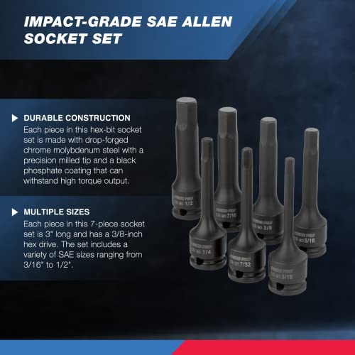 NEIKO 01131B 3/8-Inch-Drive Allen Socket Set, 3-Inch Length, 3/8-Inch Impact Hex-Bit Socket Set, SAE Hex Driver 3/16" to 1/2", CrMo Steel, Impact-Grade, 7-Piece Set