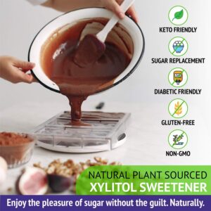 Xlear XyloSweet Non-GMO Xylitol Sweetener - Natural Sweetener Sugar Substitute, Granules, 5 Pound Bag (Pack of 1)