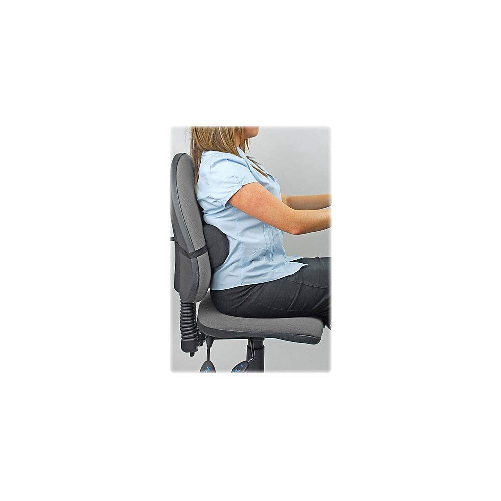 Fellowes Lumbar Back Support, Black (9190701)