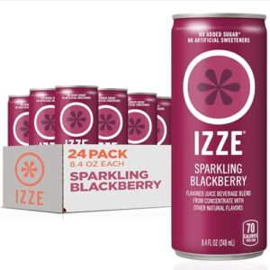 izze blackberry juice, no sugar added, 8.4 oz., 24/carton