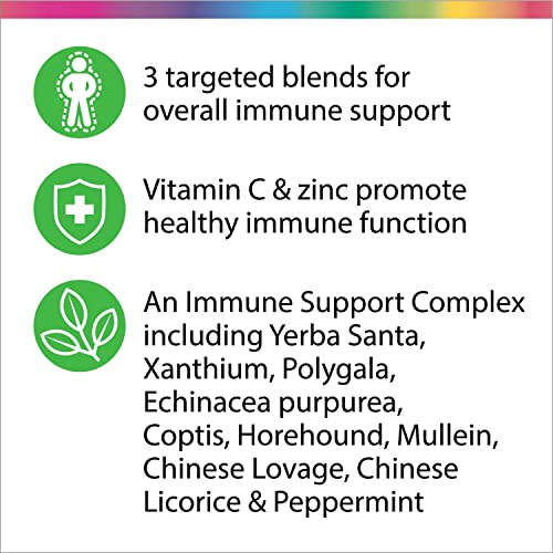 Rainbow Light Counter Attack Immune Support, Dietary Supplement Provides Immune Support, With Vitamin C, Zinc and 3 Targeted Herbal Blends, Vegan and Gluten Free, 90 Count