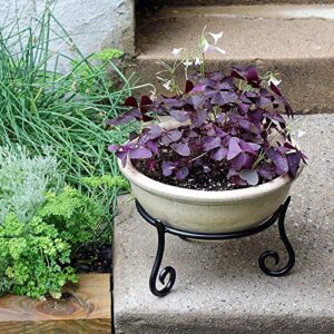 achla designs gbs-22 short wrought iron metal plant birdbath bowl stand flowerpot holder, 9.5x6 inches, black
