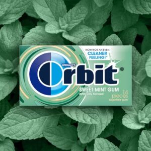 ORBIT Sweet Mint Sugar Free Chewing Gum, 12 Packs of 14-Pieces (168 Total Pieces)