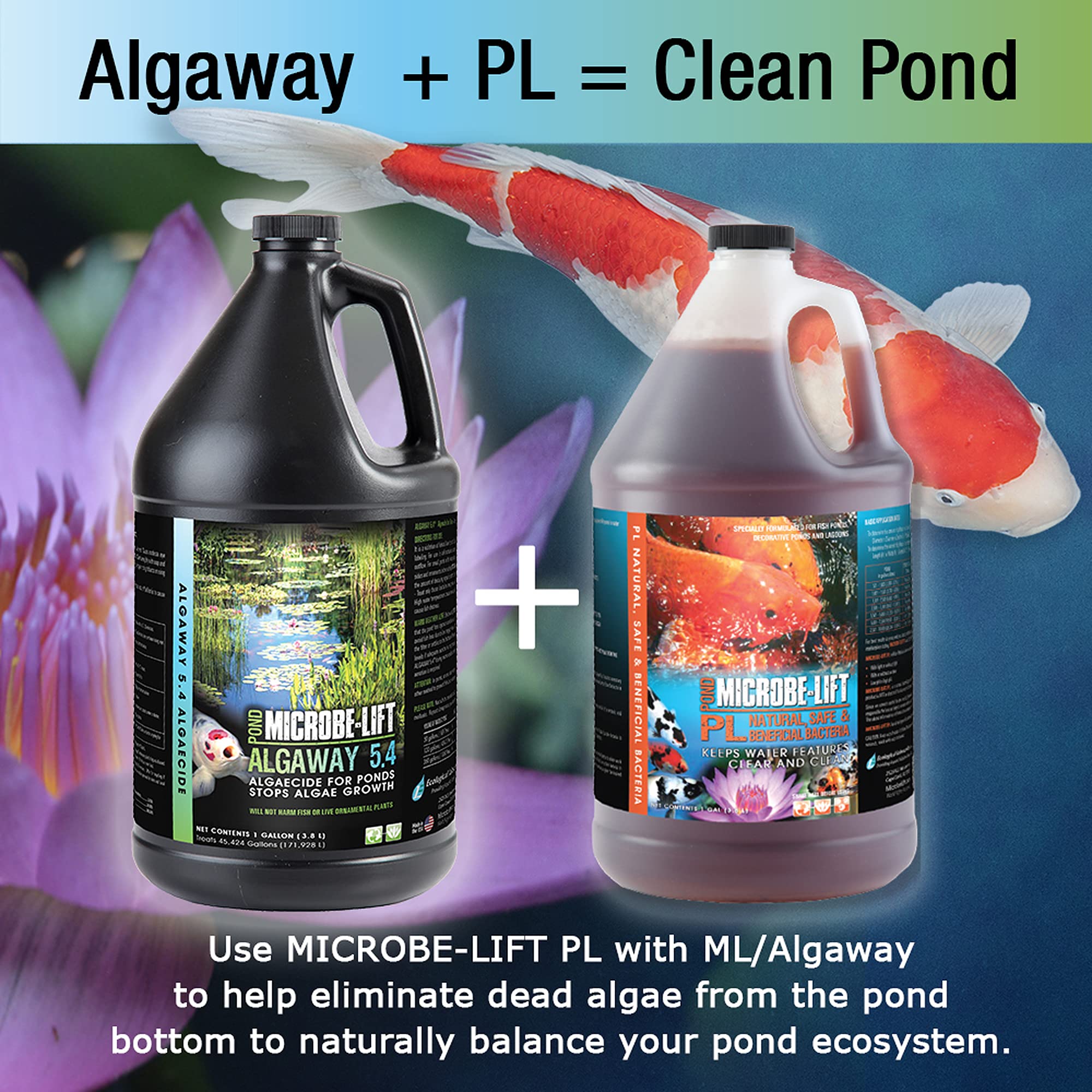 MICROBE-LIFT ALGA08 Algaway 5.4 Algae Control Treatment for Ponds and Water Gardens, Safe for Koi Fish, Goldfish, Plants, and Decorations, 8 Ounces