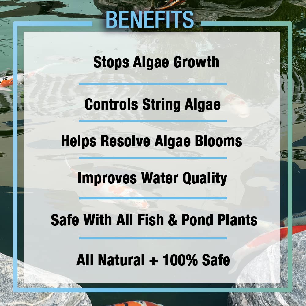 MICROBE-LIFT ALGA08 Algaway 5.4 Algae Control Treatment for Ponds and Water Gardens, Safe for Koi Fish, Goldfish, Plants, and Decorations, 8 Ounces