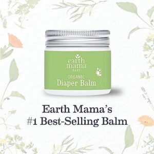 Earth Mama Organic Diaper Balm 2-Ounce | Diaper Cream for Baby | EWG Verified, Petroleum & Artificial Fragrance-Free with Calendula for Sensitive Skin