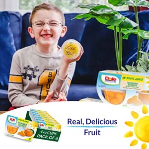 Dole Fruit Bowls Mandarin Oranges in 100% Juice Snacks, 4oz 24 Total Cups, Gluten & Dairy Free, Bulk Lunch Snacks for Kids & Adults