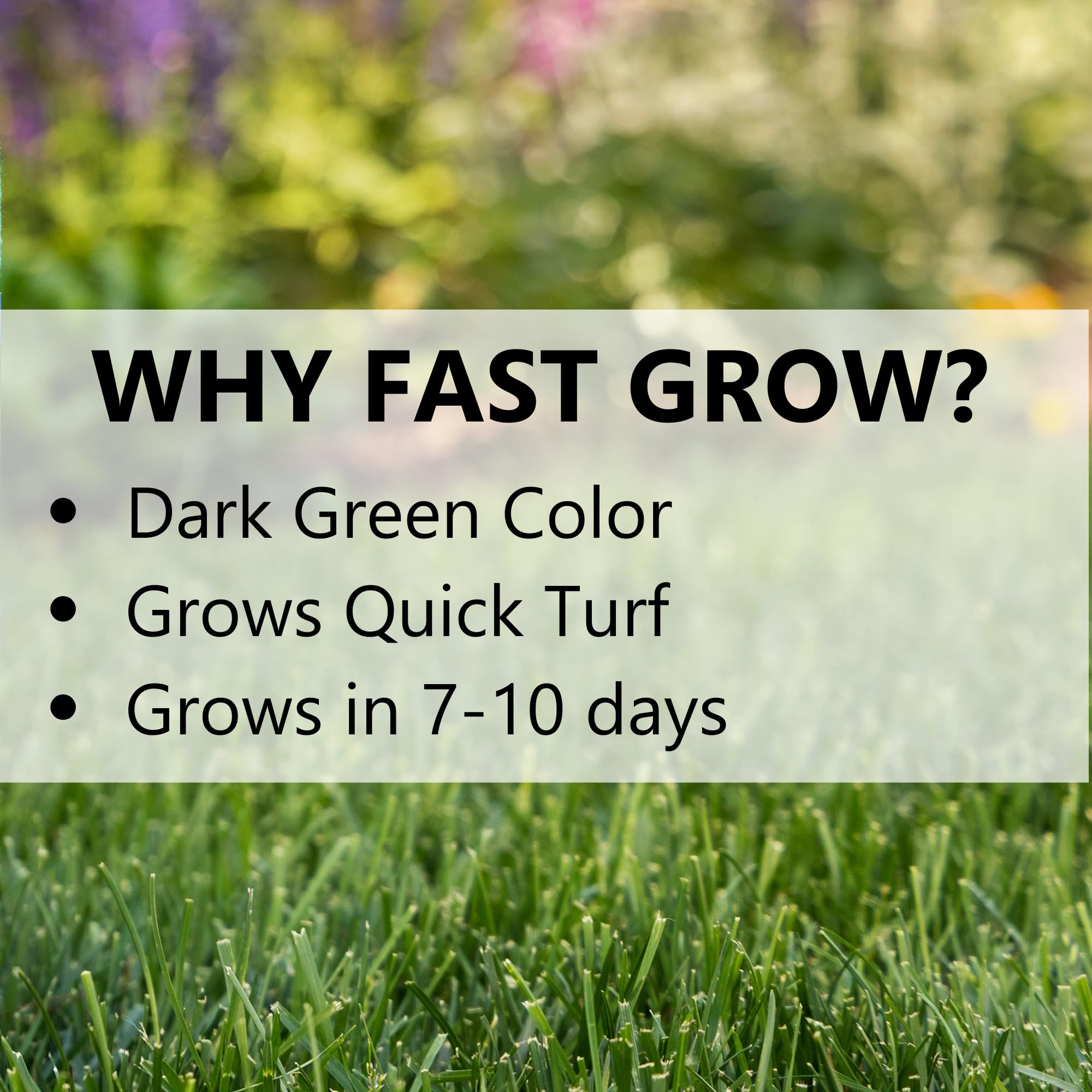 Jonathan Green (10820) Fast Grow Grass Seed - Cool Season Lawn Seed (3 lb)