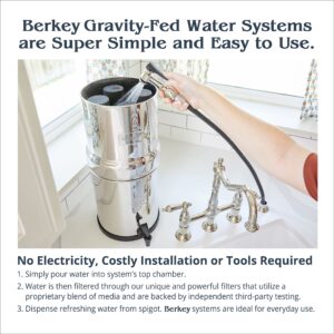 Set of 2 Berkey Authentic Black Berkey Elements (BB9-2) and 2 Berkey PF-2 Fluoride and Arsenic Reduction Elements - Combo Pack