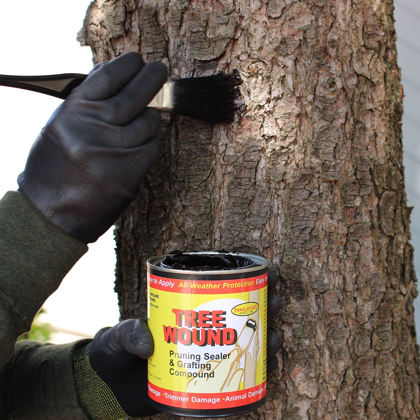 Tanglefoot Tree Wound Pruning Sealer & Grafting Compound