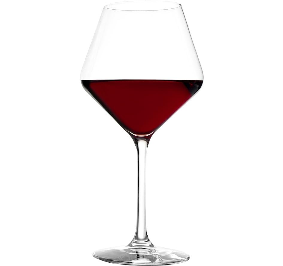 Stolzle Revolution Burgundy Wine Glasses, 19 oz (Set of 6)