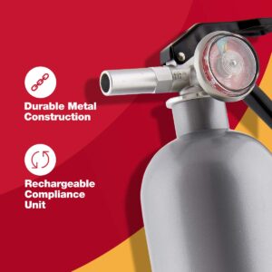 First Alert DHOME1 Rechargeable Standard Home Fire Extinguisher, UL Rated 1-A:10-B:C, Pewter