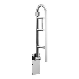 Moen Stainless Safety 30-Inch Flip-Up Bathroom Grab Bar with Integrated Toilet Paper Holder, Wall Mounted Support for Handicapped or Elderly, R8962FD