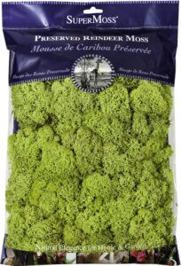super moss 21669 reindeer moss preserved, chartreuse, 8oz (200 cubic inch)