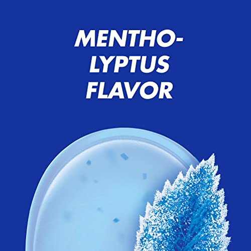 HALLS Relief Mentho-Lyptus Cough Drops, 12 Packs of 30 Drops (360 Total Drops)