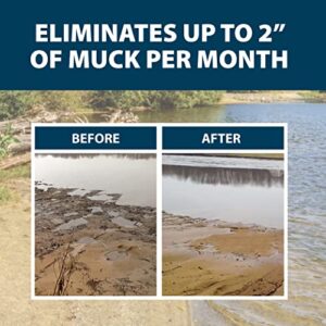 Airmax MuckAway Natural Beneficial Bacteria for Outdoor Ponds & Lakes, Muck, Sludge & Noxious Odor Solution, Easy to use Enzyme Tablets, Cleaner Beach & Shoreline, Fish, Pet & Wildlife Safe, 8 Scoops