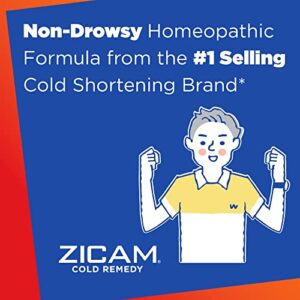 Zicam Ultra Cold Remedy Zinc Rapidmelts, Orange Cream Flavor, Homeopathic, Cold Shortening Medicine, Shortens Cold Duration, Sugar-Free, Dye-Free, 18 Count