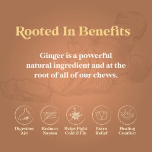 CHIMES ORIGINAL Ginger Chews (1-Pound 1 LB BAG) Premium Natural Chewy Ginger Candy — 16 OZ Individually Wrapped Ginger Chew Candy