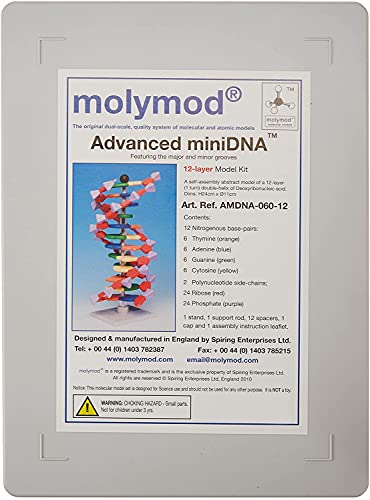 Molymod miniDNA (AMDNA06012) DNA Model 12 Base Pair Layer Kit