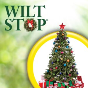 Bonide Wilt Stop, 16 oz Ready-to-Use Christmas Tree and Wreath Spray, Reduces Moisture Loss & Extends Life of Plants