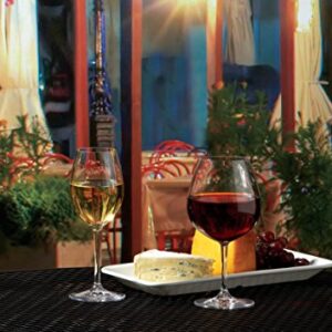 Carlisle FoodService Products Alibi Wine Glass Clear Glass for Restaurants, Catering, Kitchens, Plastic, 20 Ounces, Clear