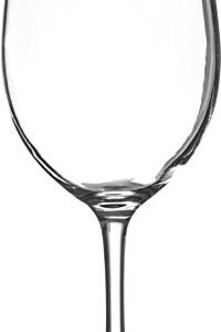 Carlisle FoodService Products Alibi Wine Glass Clear Glass for Restaurants, Catering, Kitchens, Plastic, 20 Ounces, Clear