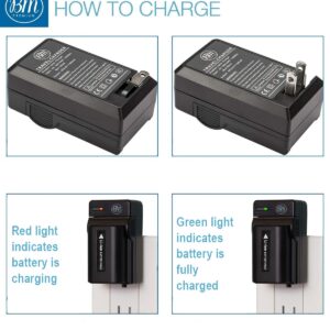 BM 2-Pack of NP-FV100 Batteries and Charger for Sony HDR-CX455 CX675 CX260 CX290 CX330 CX380 CX430V CX580V CX760V CX900 PJ430V PJ540 PJ580V PJ650V PJ670 PJ710V PJ760V PV790V PJ810 FDR-AX33 AX53 AX100