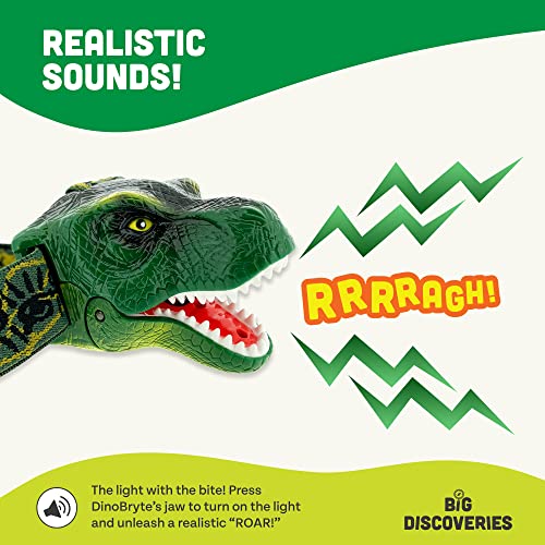 Sun Company DinoBryte - Adjustable Strap, Battery Powered Flashlight with Realistic Dinosaur Roar Sound, Perfect for Children Ages 6 and Up
