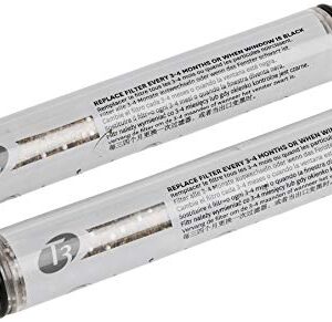 T3 Source Hand-Held Showerhead Replacement Water Filter (Pack of 2)