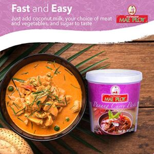 Mae Ploy Panang Curry Paste, Authentic Thai Panang Curry Paste for Thai Curries & Other Dishes, Aromatic Blend of Herbs, Spices & Shrimp Paste, No MSG (14 oz Tub)