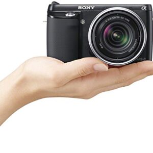 Sony NEX-F3K/B 16.1 MP Mirrorless Digital Camera with 18-55mm Lens (Black)