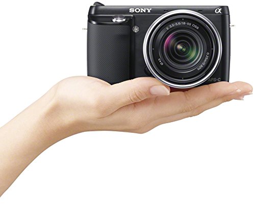 Sony NEX-F3K/B 16.1 MP Mirrorless Digital Camera with 18-55mm Lens (Black)