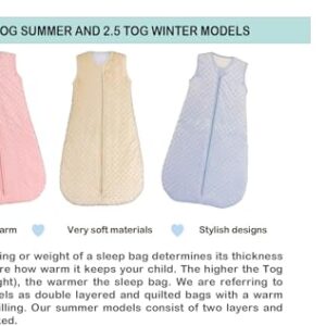 BABYINABAG Baby Sleeping Bag and Sack, Minky Dot, Quilted Winter Model, 2.5 Tog Very Warm for Infants and Toddlers (Large (22 mos - 3T))