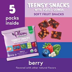 Plum Organics Teensy Fruits, Berry, 5 Count (Pack of 4)