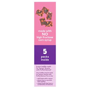 Plum Organics Teensy Fruits, Berry, 5 Count (Pack of 4)