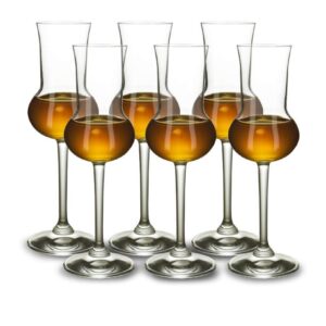 Grappa Glasses Stölzle Lausitz, set of 6, 87 ml, hand-blown appearance, dishwasher-safe, premium quality