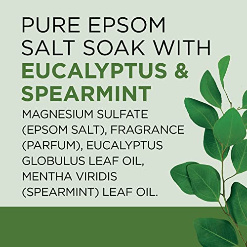 Dr Teal's Salt Soak with Pure Epsom Salt, Relax & Relief with Eucalyptus & Spearmint, 3 lbs