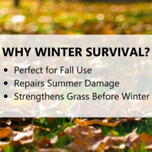 Jonathan Green (12414) Winter Survival Fall Lawn Food - 10-0-20 Fall Lawn Fertilizer (15,000 Sq. Ft.)