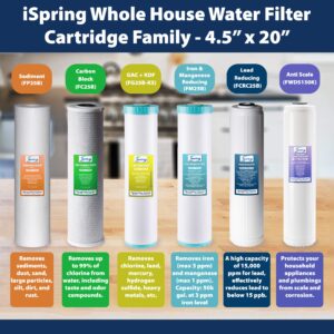 iSpring FP220BX2 High Capacity x 4.5” Water Replacement Cartridges Sediment Filter, 20 Micron, 2 Count (Pack of 1), White