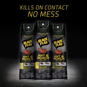 Black Flag Ant and Roach Killer 17.5 Ounces, Aerosol Spray, Unscented