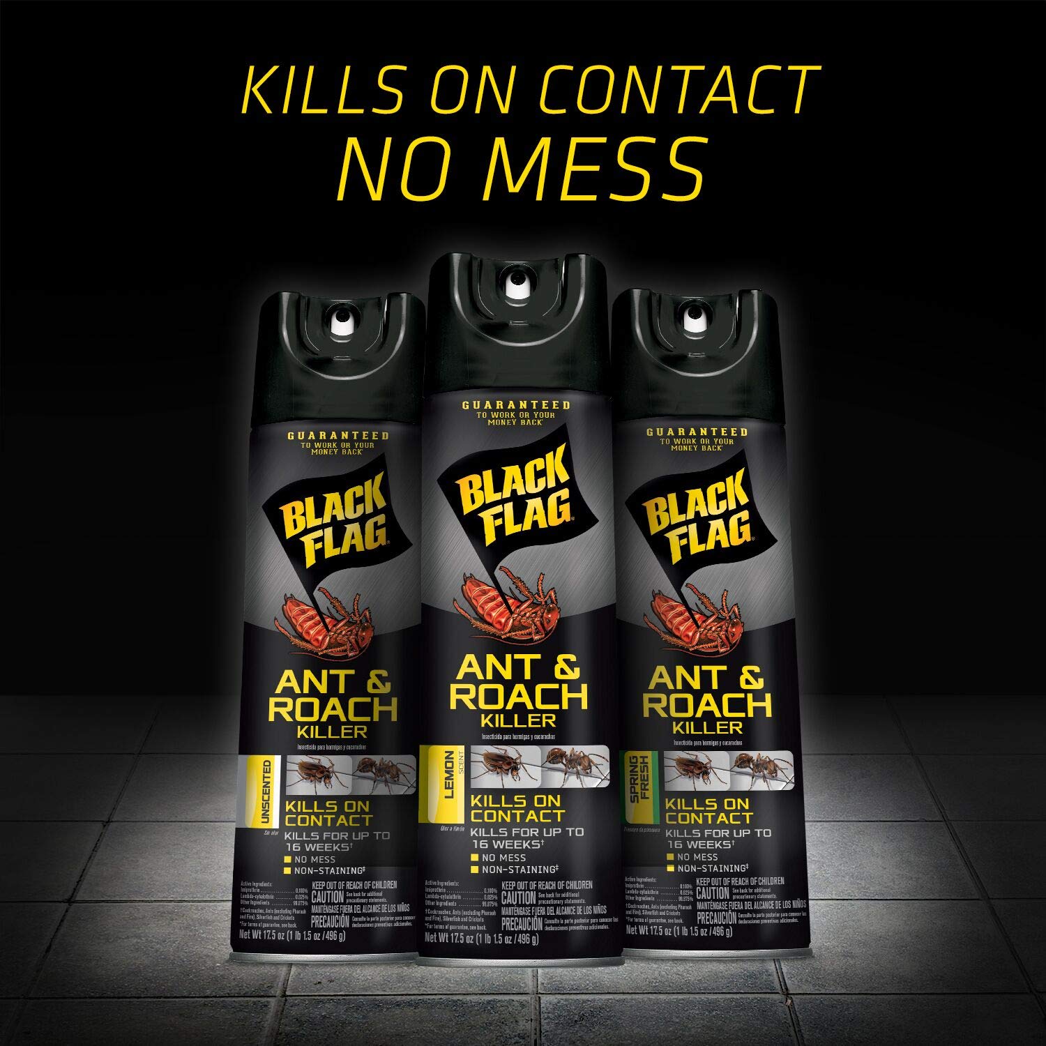 Black Flag Ant and Roach Killer 17.5 Ounces, Aerosol Spray, Unscented