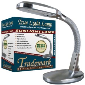 Natural Therapy Sunlight Desk Lamp, Great For Reading and Crafting, Adjustable Gooseneck, Home and Office Lamp by Lavish Home, 7"D x 9"W x 22"H , Silver