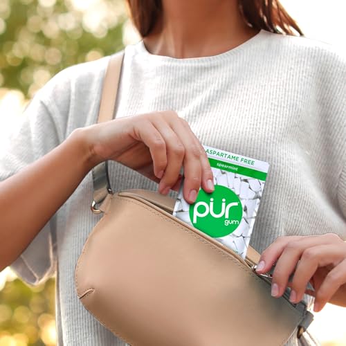 PUR Gum | Aspartame Free Chewing Gum | 100% Xylitol | Natural Spearmint Flavored Gum, 55 Pieces (Pack of 1)